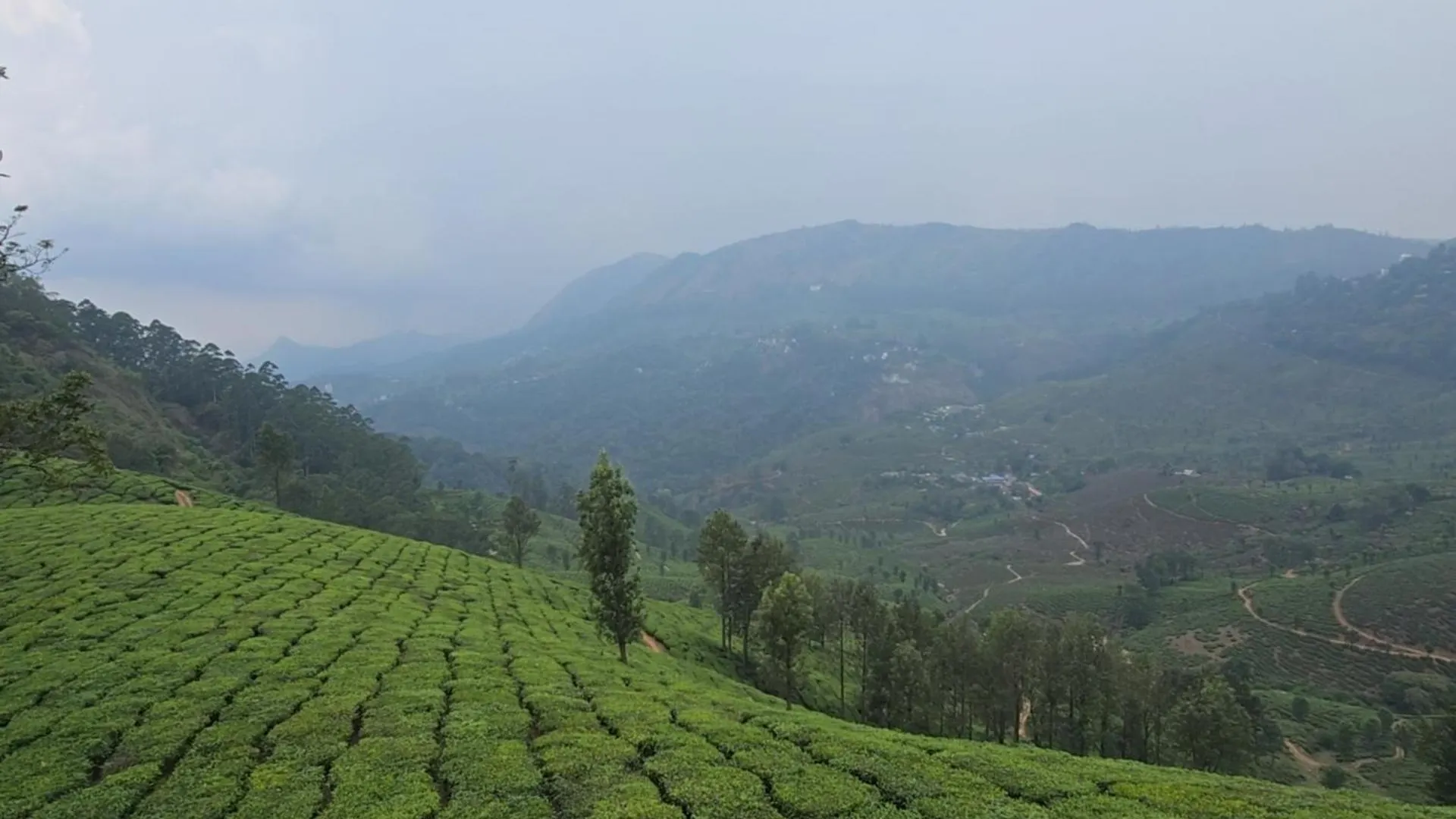 Beauty Spot Munnar Hotel